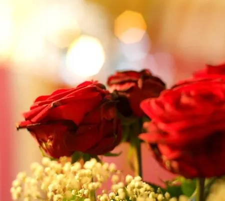 Appartamento Parkvilla Bad Hofgastein